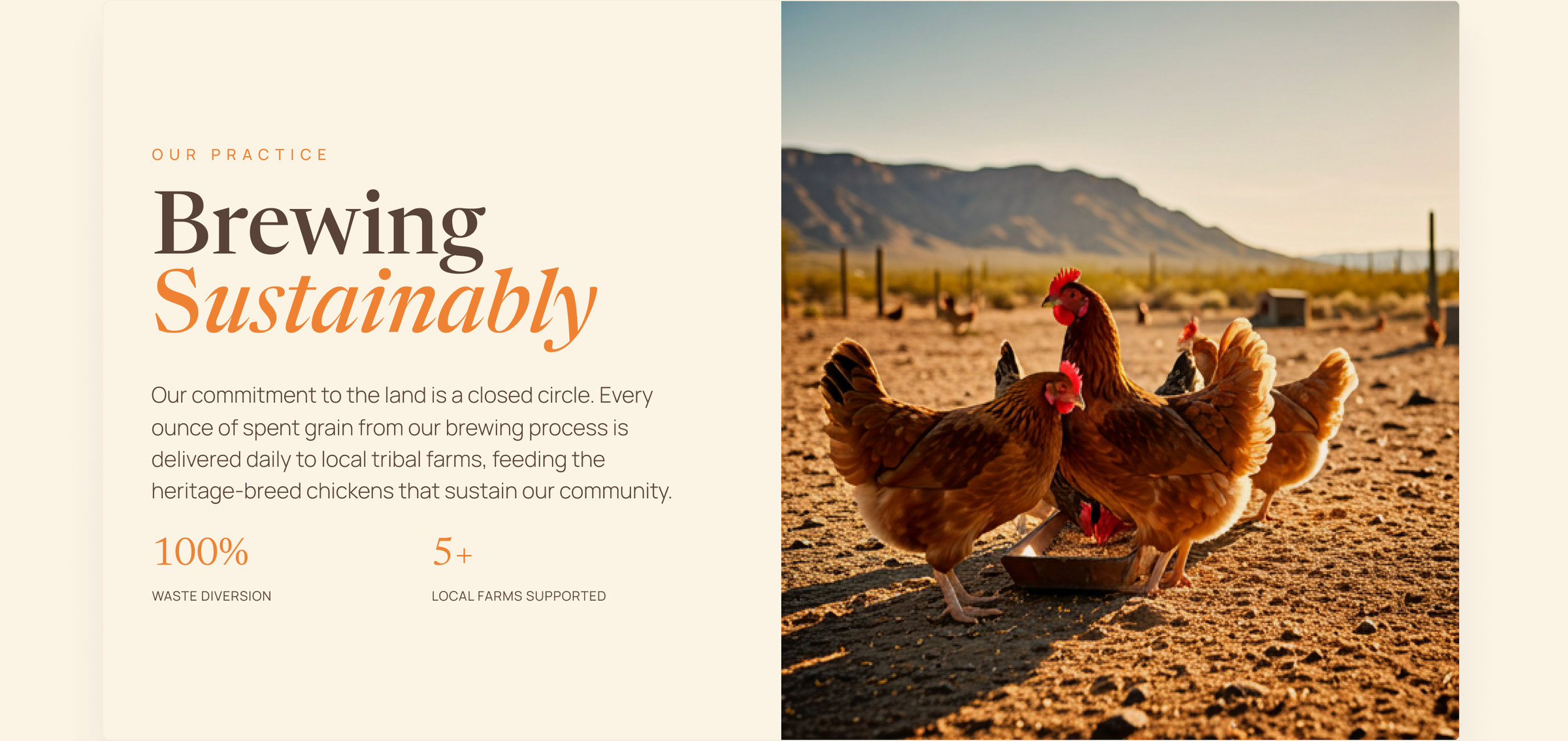 Brewing sustainably, Our Story
